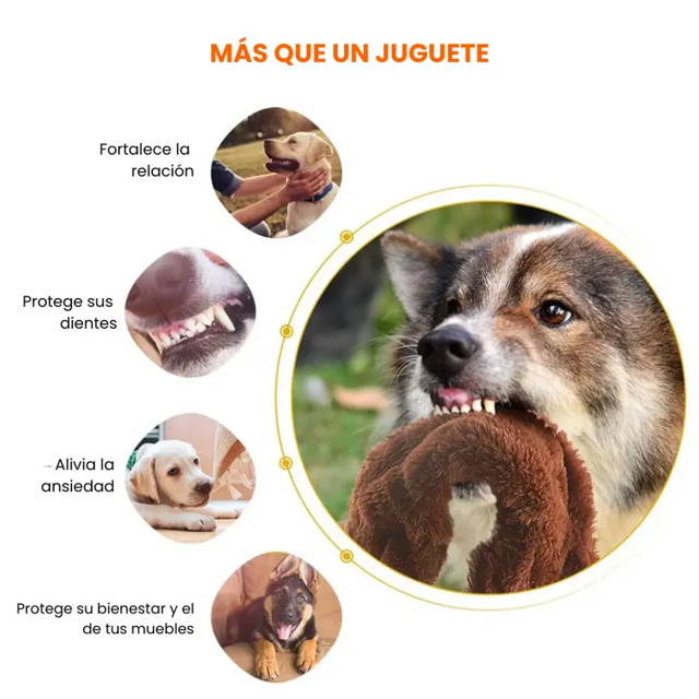 Cama de perro