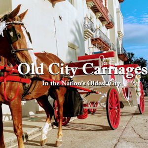 Night of Lights Carriage Ride
