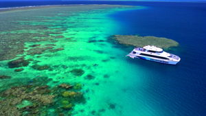 https://www.prodive.com.au/Great+Barrier+Reef+-+Port+Douglas/Boat+Dives/Silversonic+Snorkeller+from+Port+Douglas+-+Great+Barrier+Reef+-+Port+Douglas/1740
