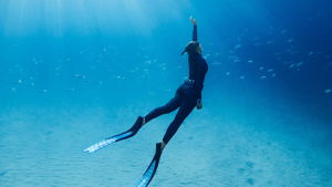 Beginner Freediving Training Course - Two Days