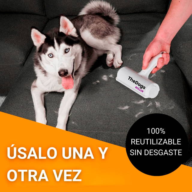 Cama de perro