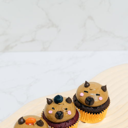 Happy Capybara Cupcakes
