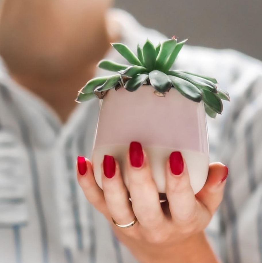 Sugar town the label