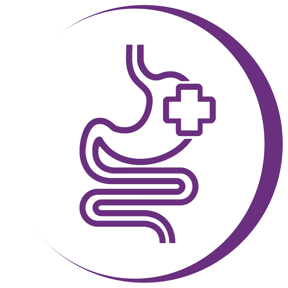 the stomach symbolizing improved digestion as a benefit of the best probiotics supplements singapore