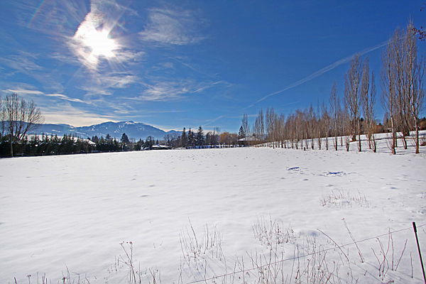  Puigcerdà
- Terreno en Antiguo Barrio del Golf, Guils de Cerdanya