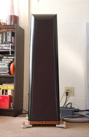 Left speaker with cover