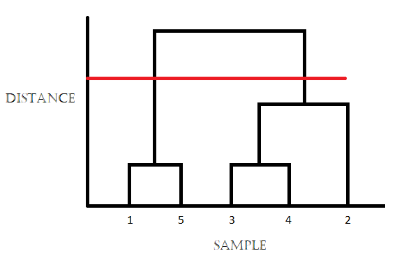 How do we cut dendrograms using proximity matrix in hierarchical clustering?