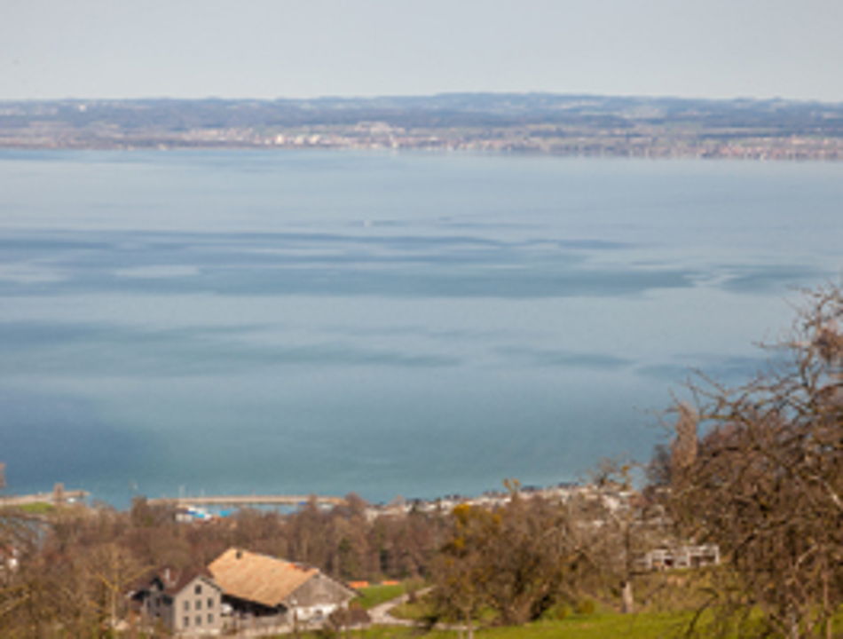 Immobilien Am Bodensee Ihr Immobilienmakler Engel Volkers