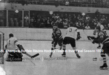 The Buffalo Bisons of 1970 were good, hardheaded and nearly extinct.