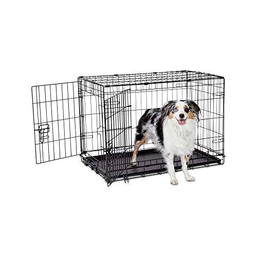 Animaze 2Door Folding Dog Crate vs Petmate Two Door Top Load Kennel