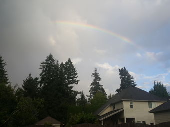 Rainy & Rainbow