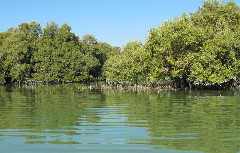 Mangrove National Park: Self-Drive Guided Tour on a Speedboat - photo 3