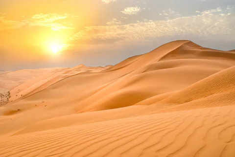 Sunrise Desert Jeep Safari with Wildlife