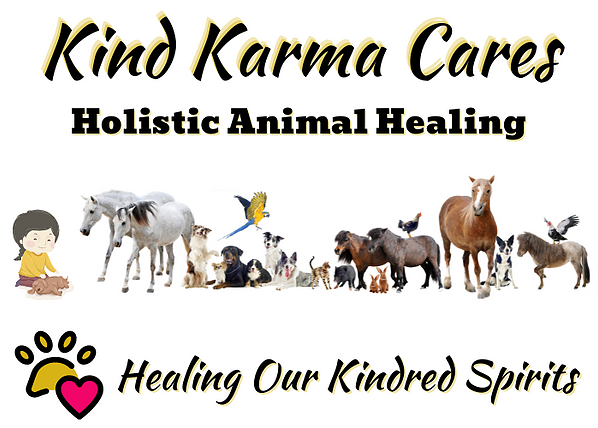 Kind Karma Animal & Pet Reiki. 2-Day Training Course on Event Vesta