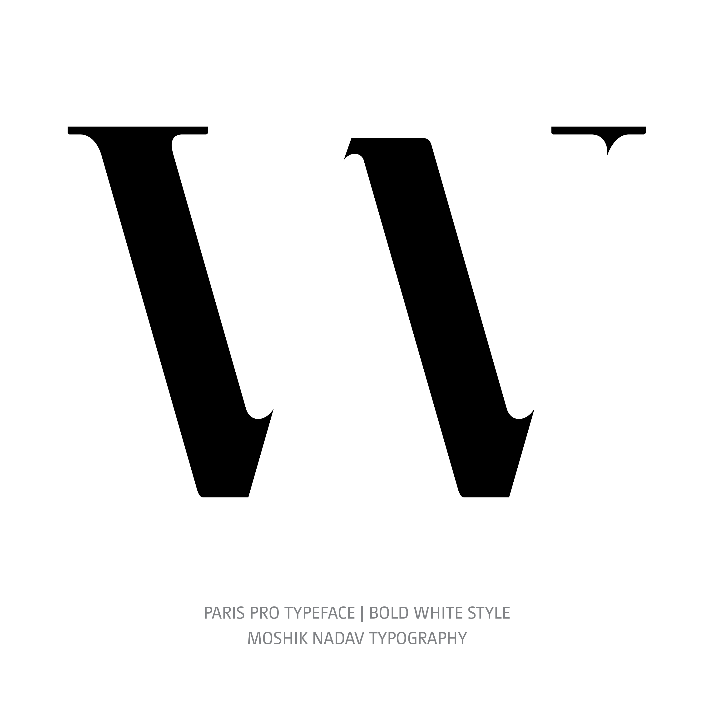 Paris Pro Typeface Bold White W