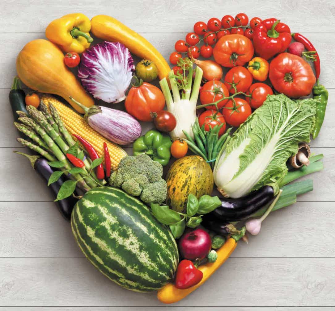 Plant Based Diet