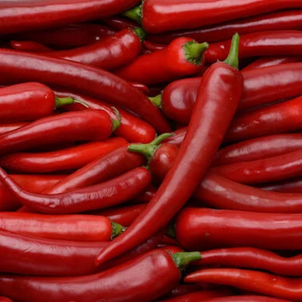 Piment rouge 