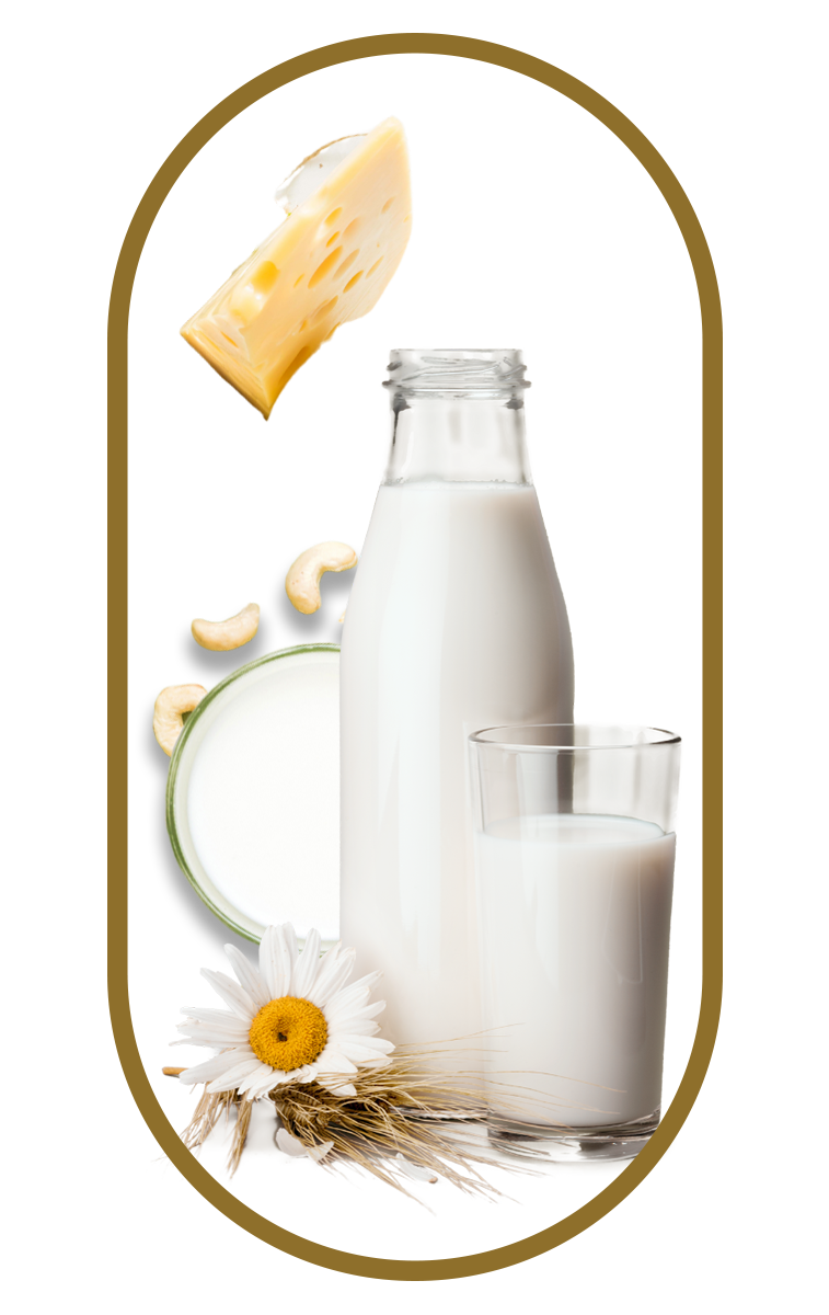 Milk, cheese, and calcium sources promote bone strength, muscle function, and absorptio