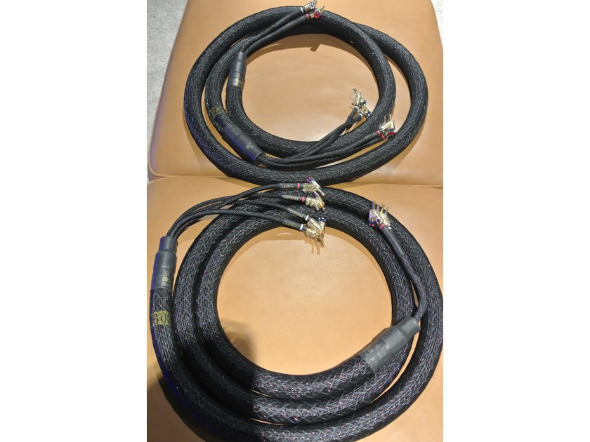 Kimber Kable  Bifocal XL 10' Speaker Cables  for Quick Sale