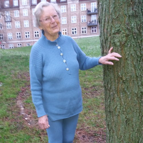 RIESI, woollen set, leggings with pullover, for ladies