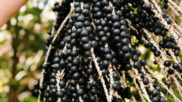 Main Content Image
