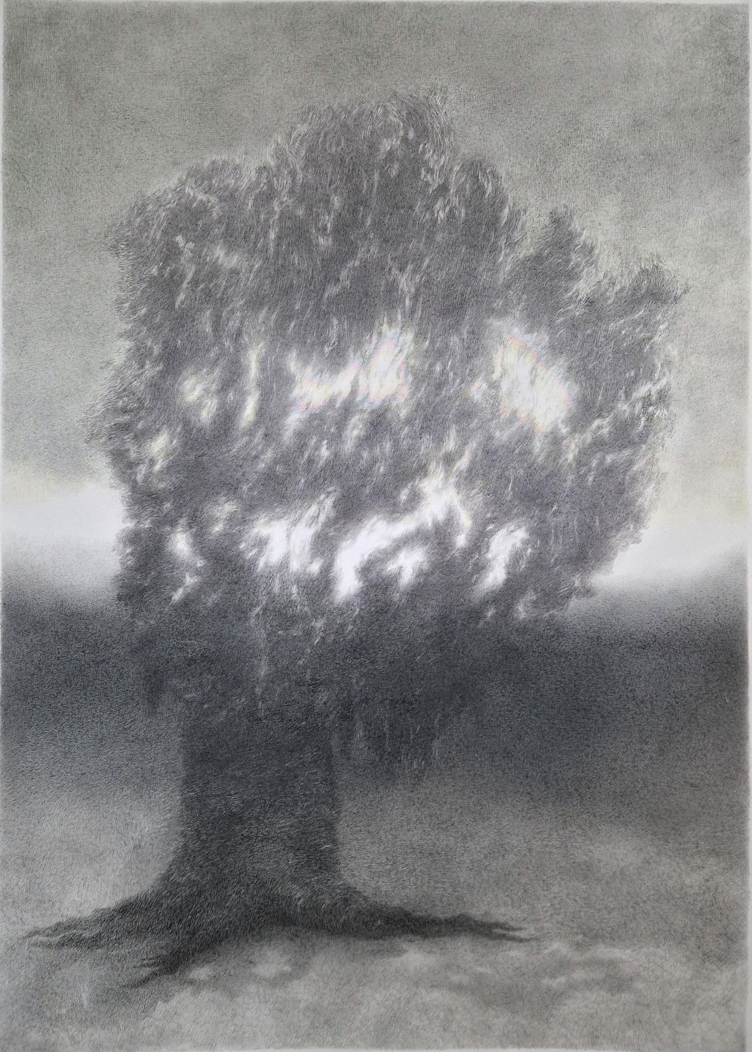 Rina Charlott Lindgren