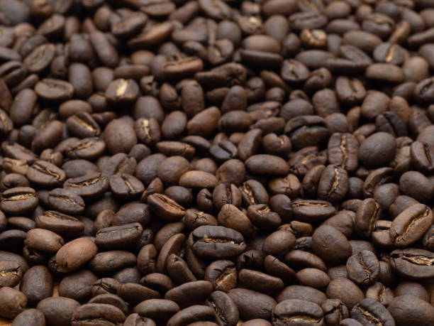 マンデリン コーヒー