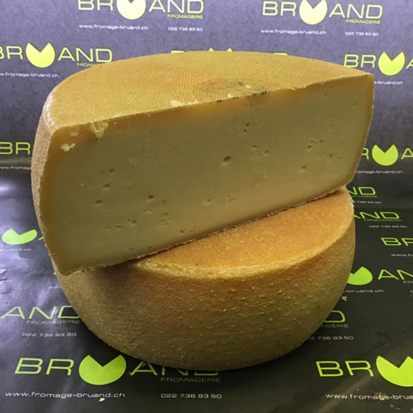 brebis-du-moleson