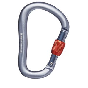 Black Diamond RockLock Screwgate Carabiner | REI Co-op