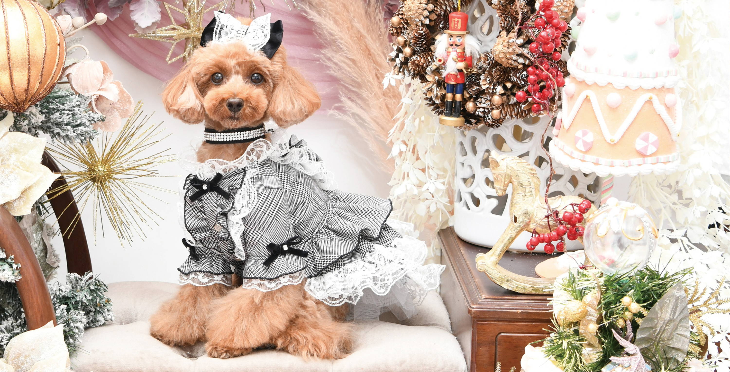 luxebirdie 　リュクスバーディ　SS　アトリエジジ犬用品　犬服 Luxebirdie（リュクスバーディ）|小型犬とのリュクスな生活を