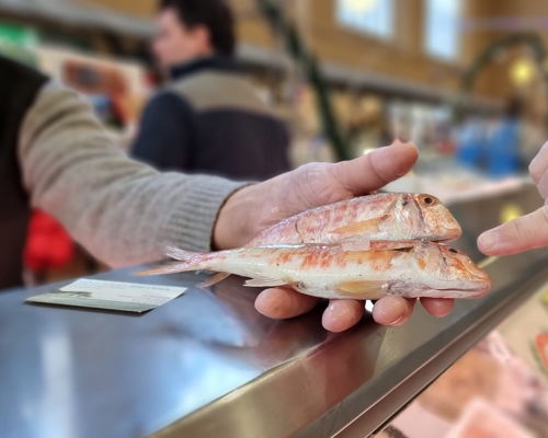 Food & Wine Tours Leghorn: Market and cuisine: discovering cacciucco