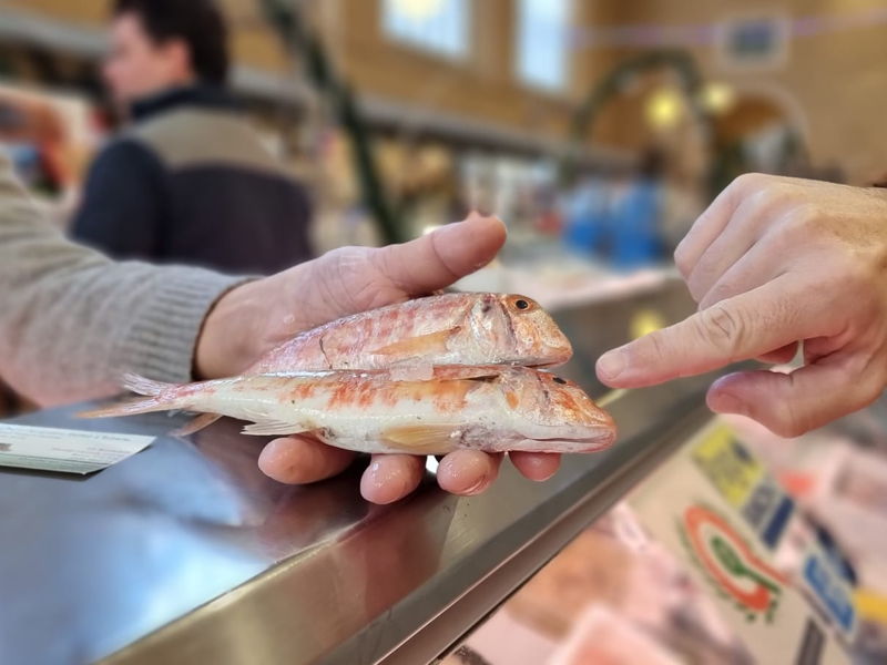 Food & Wine Tours Leghorn: Market and cuisine: discovering cacciucco