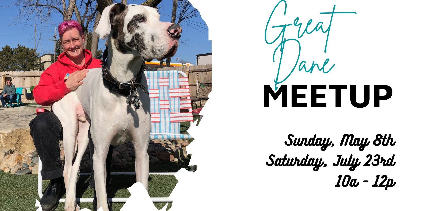 Great Dane Meetup at Omaha Dog Bar promotional image