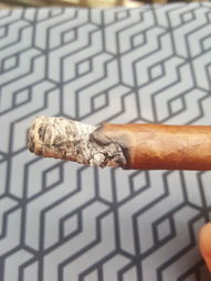 Cigar Session Photo
