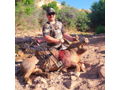Blue Rooster Ranch - Arizona Wild Hog Hunt