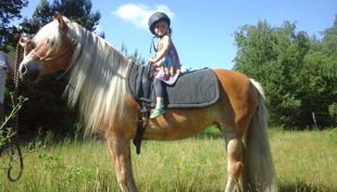 haus natur und umwelt ponyreiten