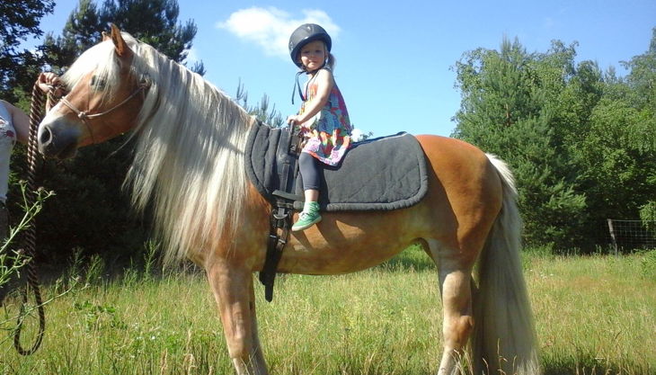 haus natur und umwelt ponyreiten