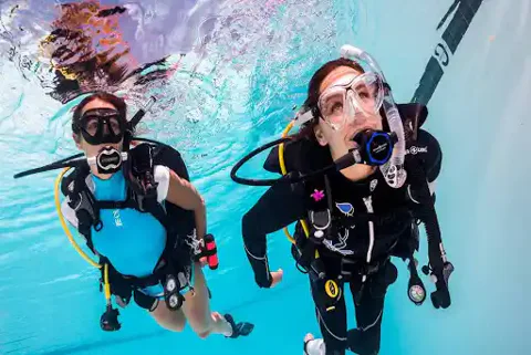 Diving in Bodrum