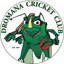 Dromana Cricket Club logo