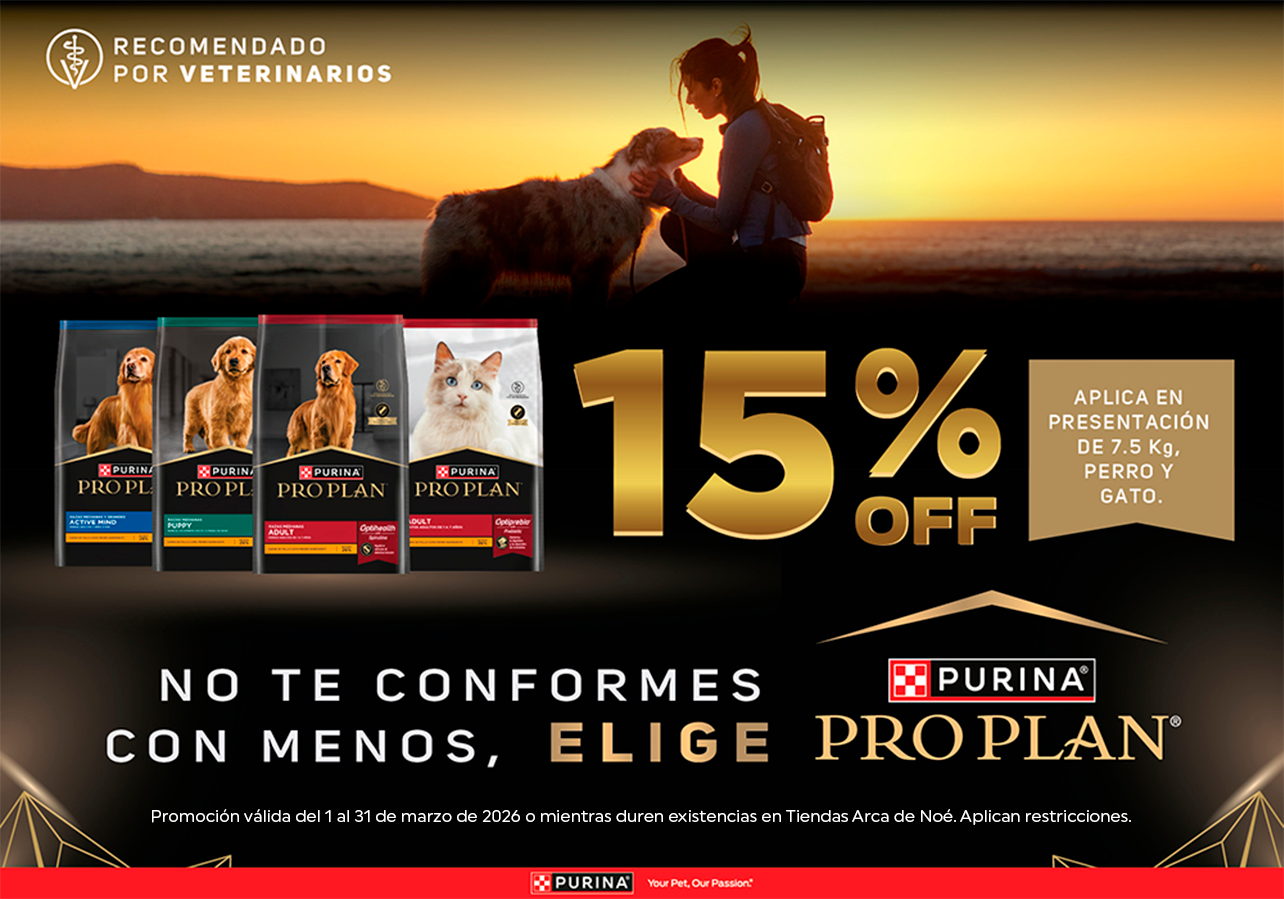 zignature - energía real para su día a día