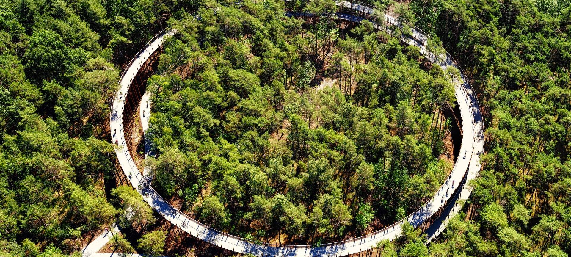 Elektrische mountainbike Elektrische fietsen door de bomen