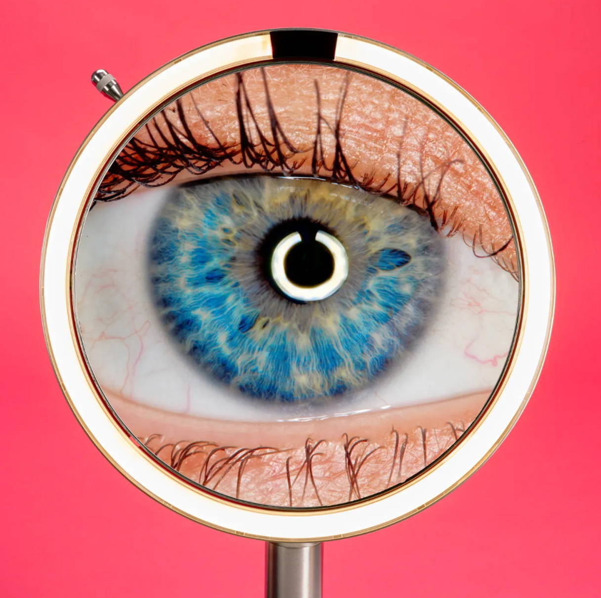 The Very Best Lighted Makeup Mirrors Never walk outside with mismatched foundation again.