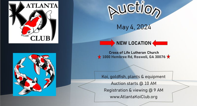 Atlanta Koi Club Auction