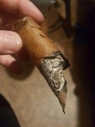 Cigar Session Photo