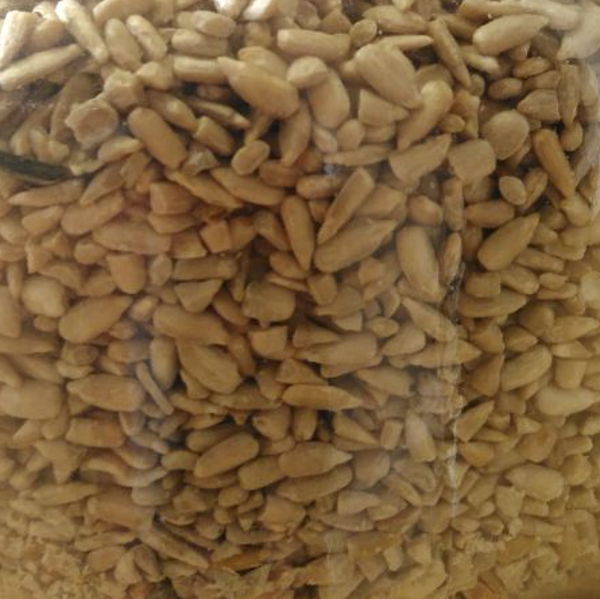 graines-de-tournesol-bio