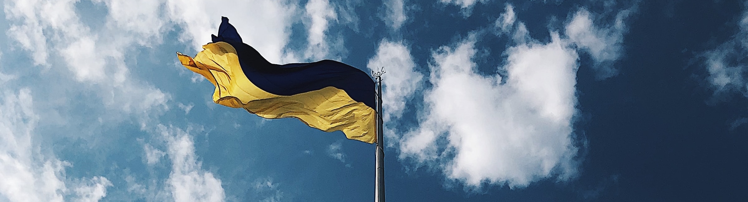 Ukrainian Flag