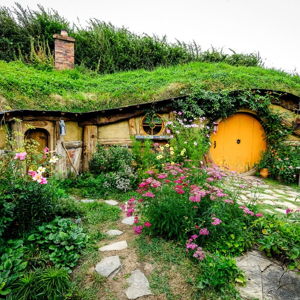 Home Down Payment