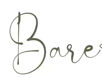 Bare Hugs logo