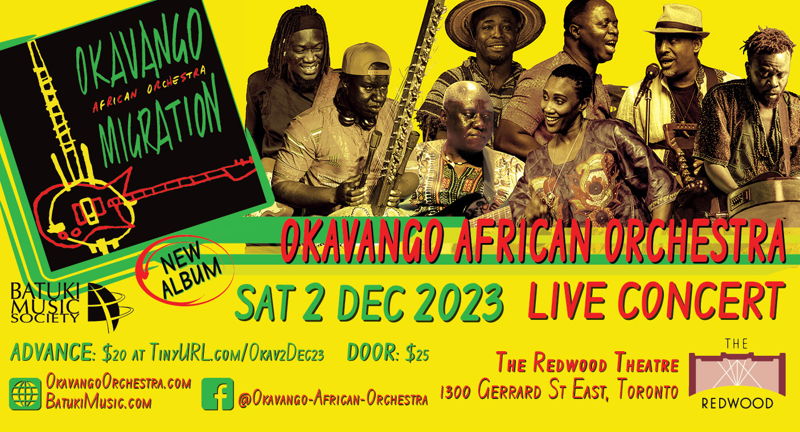 Okavango African Orchestra