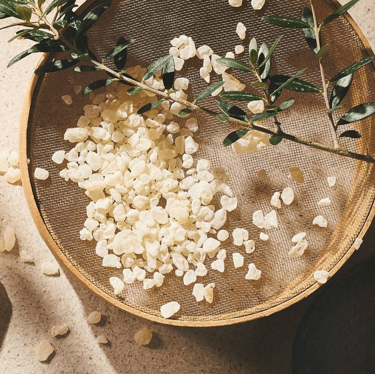 Mastic Gum Bowl